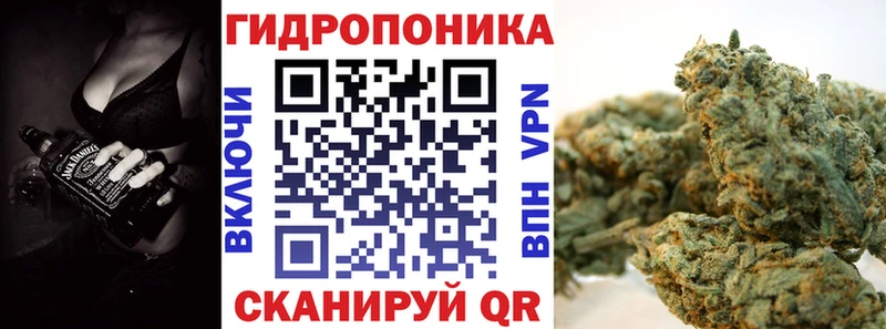 Купить наркоту Новозыбков ГЕРОИН Амфетамин ОМГ ОМГ зеркало Меф СК COCAIN