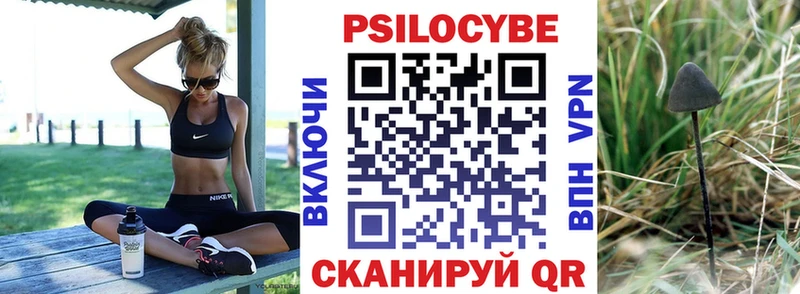 закладки  Новозыбков  MEGA ССЫЛКА  Псилоцибиновые грибы мицелий 