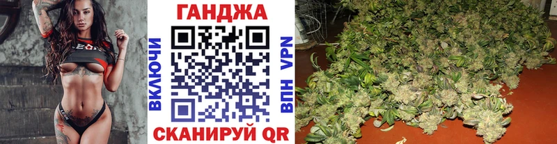 hydra как зайти  Новозыбков  Шишки марихуана планчик  как найти наркотики 
